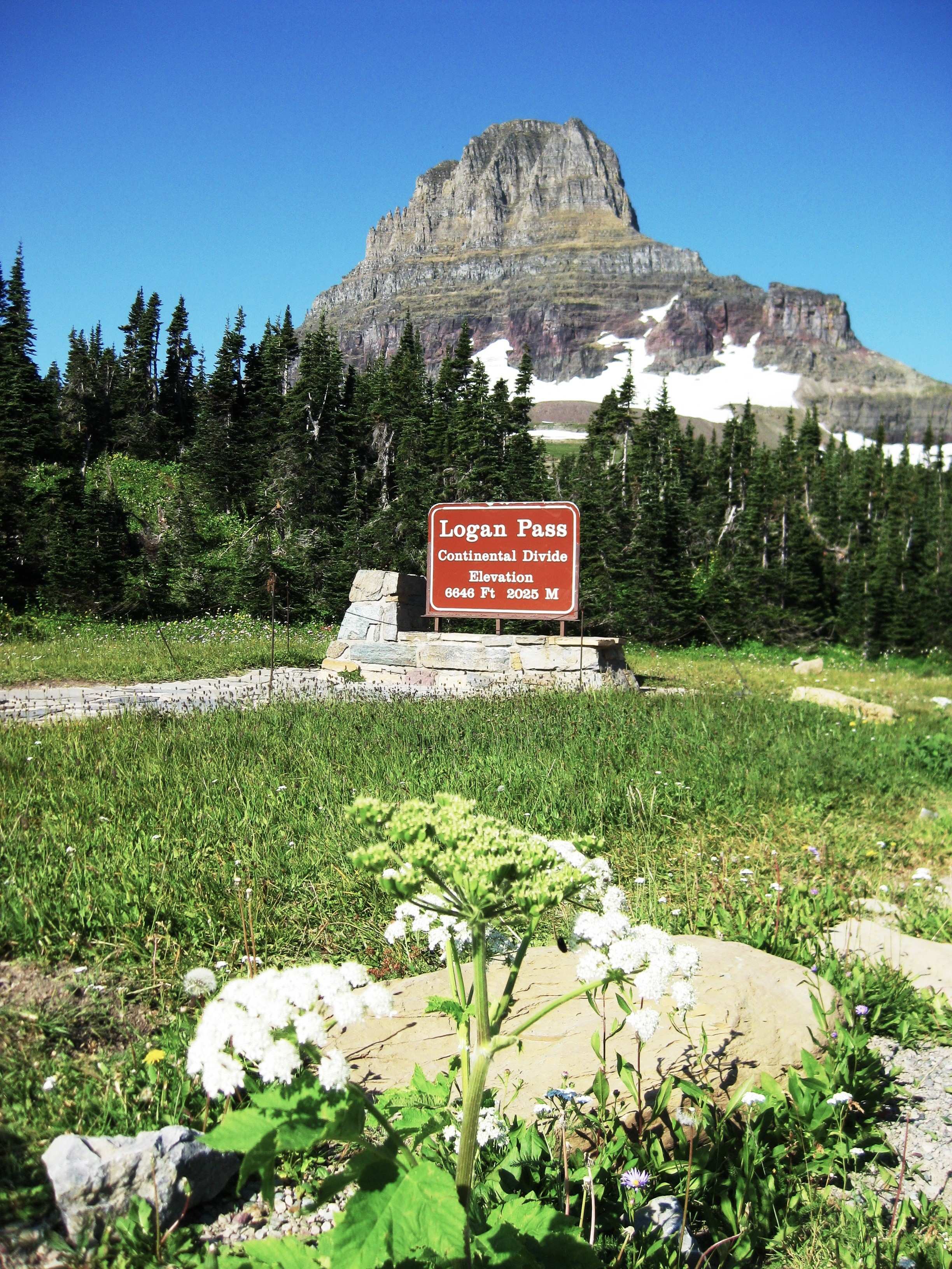Glacier NP, Montana